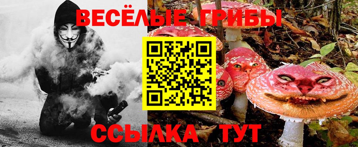 Псилоцибиновые грибы Cubensis  Вход с VPN  купить закладку  Семёнов 
